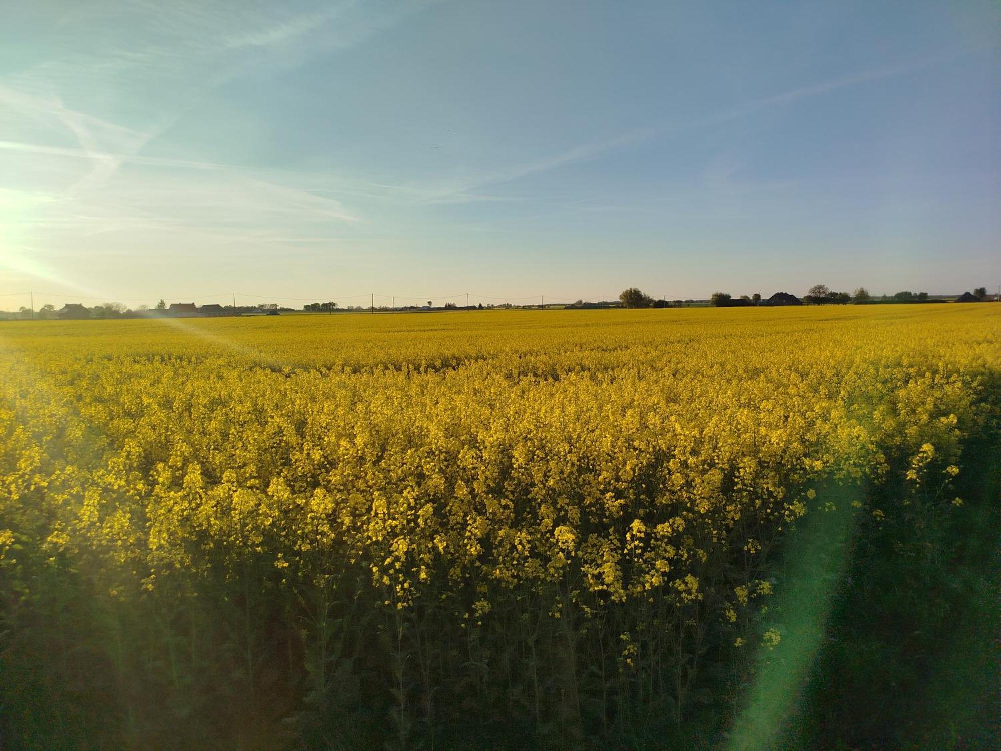 Tropikalna Odnowa Falkowo Exterior foto